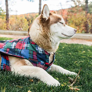 Flannel Dog Jacket - XS